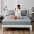 topper waterproofh cover bed protector床笠 mattress