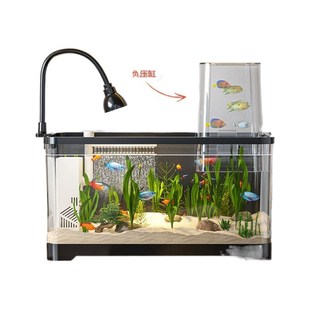 desktoSp Landscape fish tank goldfish