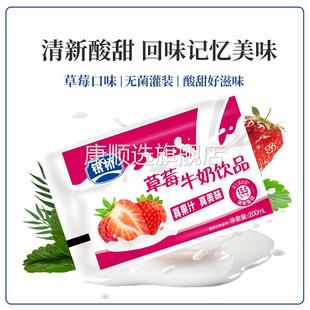 银桥乳业 12袋 百利包草莓酸牛奶饮料饮品200ml