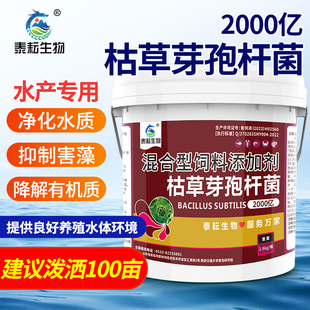 2000亿枯草芽孢杆菌水产养殖鱼虾蟹塘专用净化水质分解有机质肥水