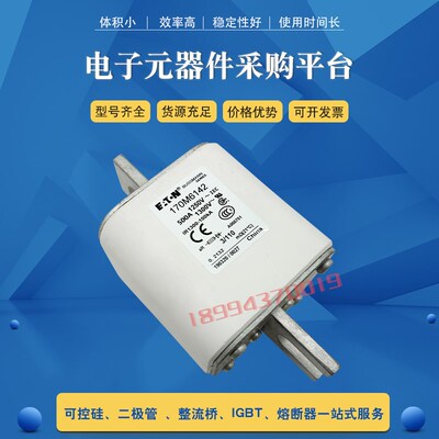 170M6195 h170M6196 170M6197 170M6198全新快速熔断器保险丝