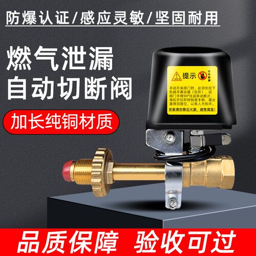 燃气泄漏报警器自动切断阀液化气煤气单尖双尖阀管道天燃气机械手