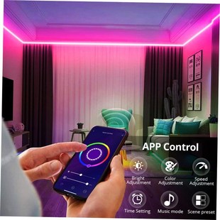 Tuya LED Neon Bluetoot.h Life 12V Smart Lights Strip WiFi