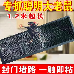 超强力粘鼠板大老鼠贴捕鼠老鼠神器克星透明隐形大号家用灭黏粘鼠