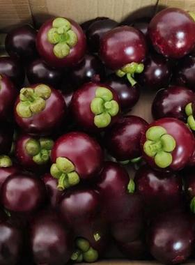 仿真山竹模型 仿真水果蔬菜模型 水果店假水果装饰品假山竹摆件