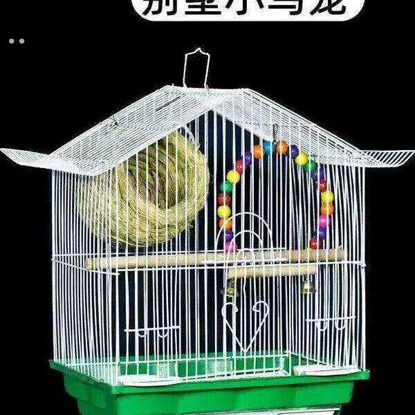 小型鸟笼子别墅屋型鸟笼子虎皮鹦鹉鸟笼子文鸟牡丹鹦鹉笼子文鸟笼