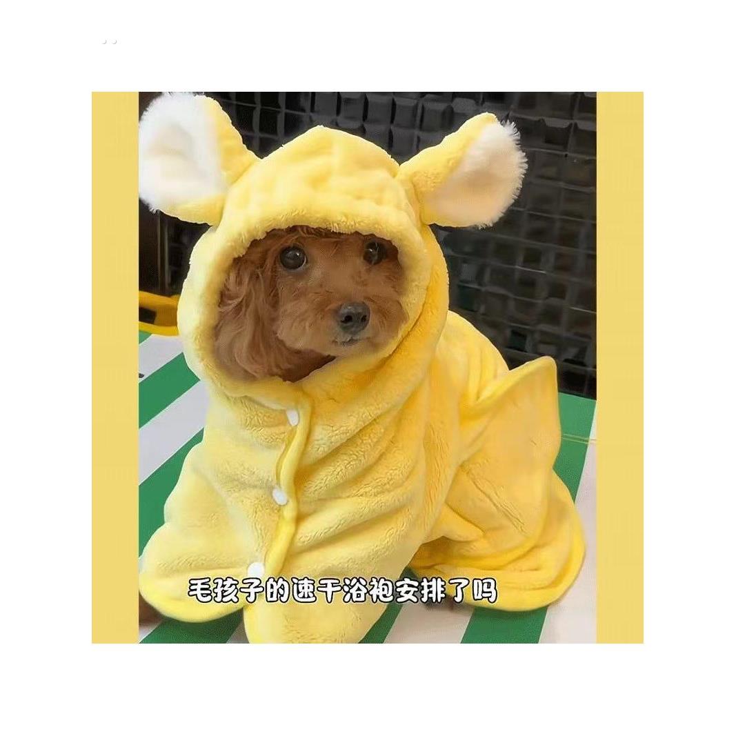 泰迪专用浴袍宠物小狗狗速干 干浴巾洗澡工具超强吸水毛巾衣服小