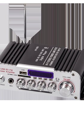 12V110Vg220V接音箱用功放板车载格式家用diy1v音响蓝牙低音炮