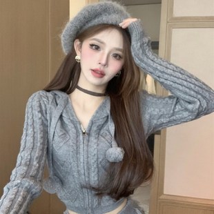 高级感时尚套装短款连帽针织毛衣开衫外套女秋季流苏半身裙两件套