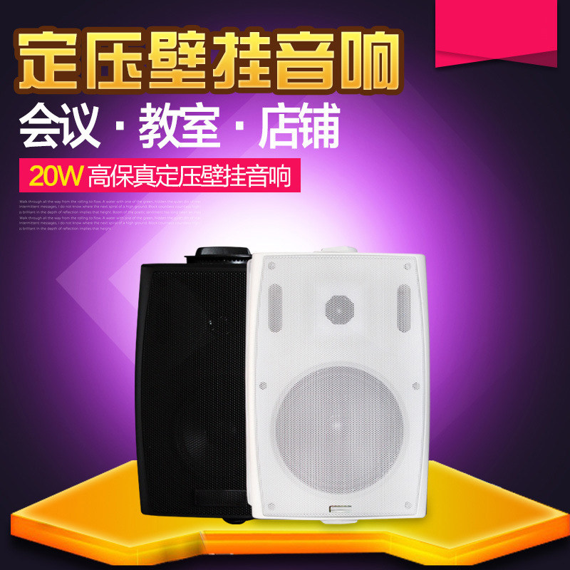 定压黑色壁挂音箱20W功率高保真背景音乐超市广播系统