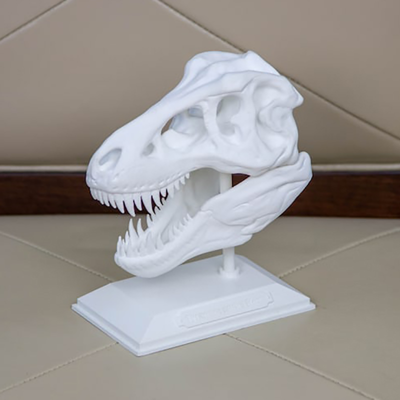 3D打印文化IP博物馆文物复刻恐龙头骨恐龙模型定制动物造型