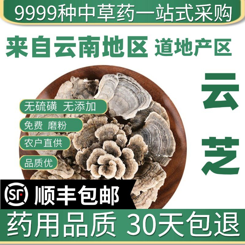 材特级野生云芝 云芝蘑 云芝菌 新货 蝴蝶菌 50克