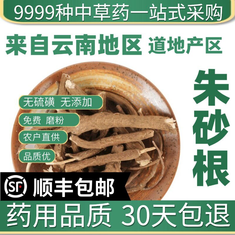 材特级野生朱砂根 小罗伞新货百两金 紫金牛 铁雨伞50克