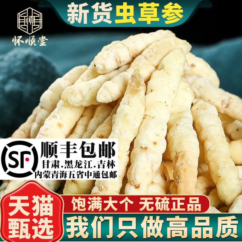 虫草参500g250g100克草石蚕材干土冬虫草地蚕白虫草地参