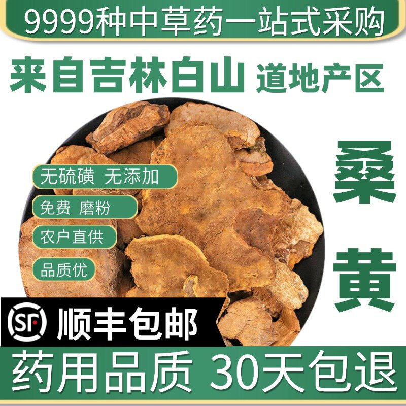 桑黄西藏材茶干货小努桑树桑黄孔正宗灵芝泡水50克材