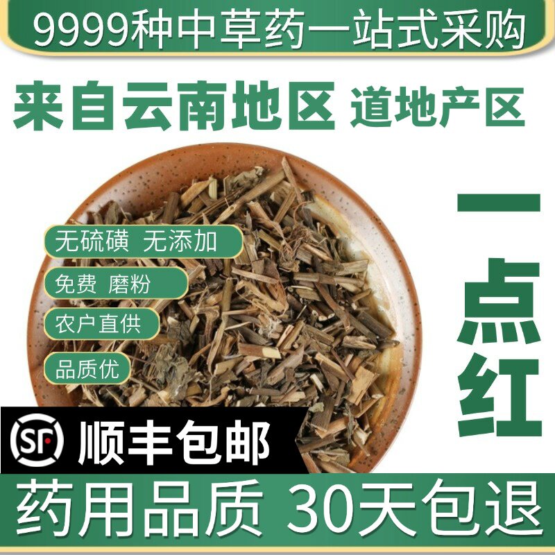 材特级野生一点红 叶下红 羊蹄草 新货红背叶红叶草50g
