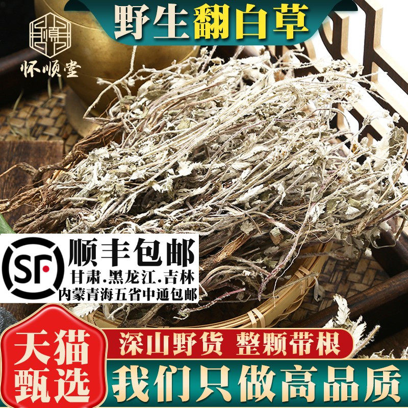 野生翻白草500克g新货材整颗切碎番白草另售苦丁茶绞股蓝