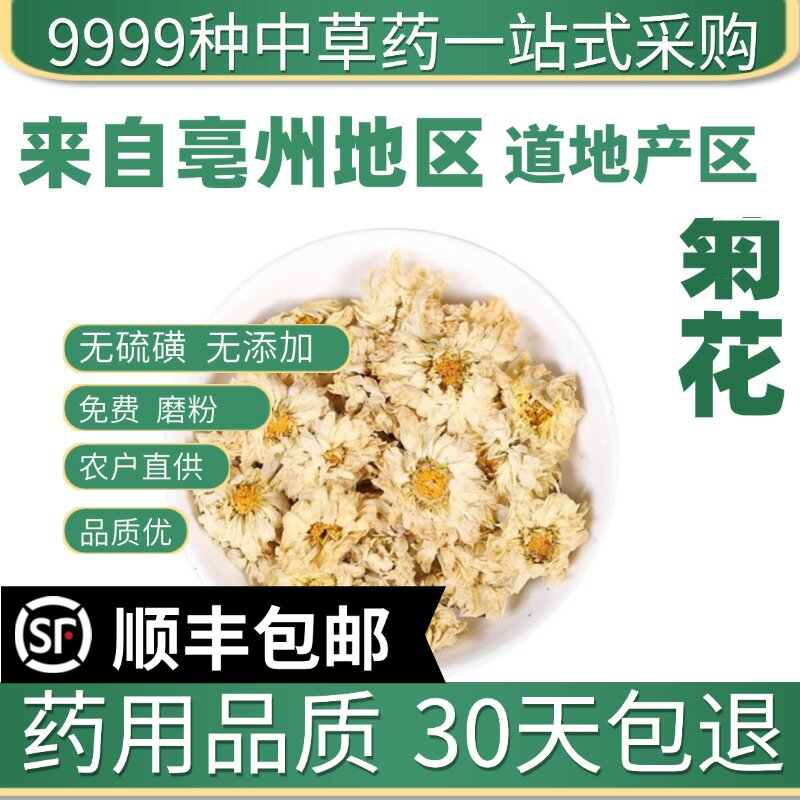 材店铺 特级新货吭白菊泡茶泡水浙江桐乡正宗吭白菊菊花50g