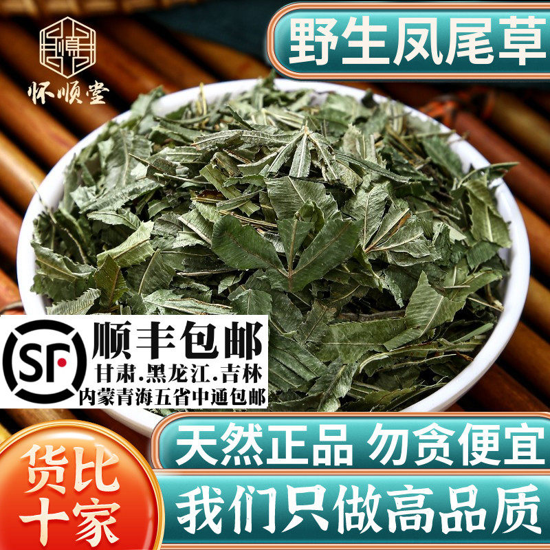 野生凤尾草材500克g凤尾草中草药鸡脚草金鸡尾井边凤尾五指草