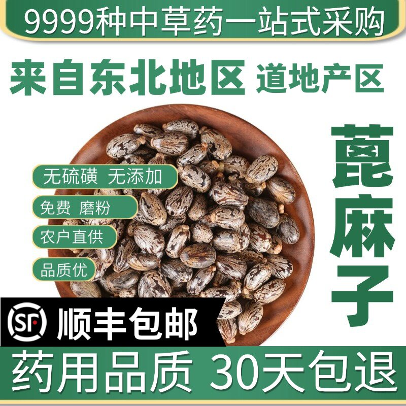 材店铺特级野生蓖麻子蓖麻籽新鲜干货50g大粒蓖麻籽种子