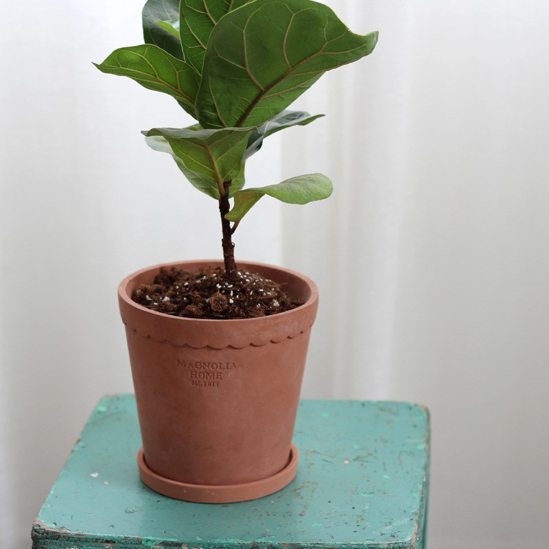 北欧创意个性透气花盆桌面植物盆栽阳台简约盆器陶盆厂家