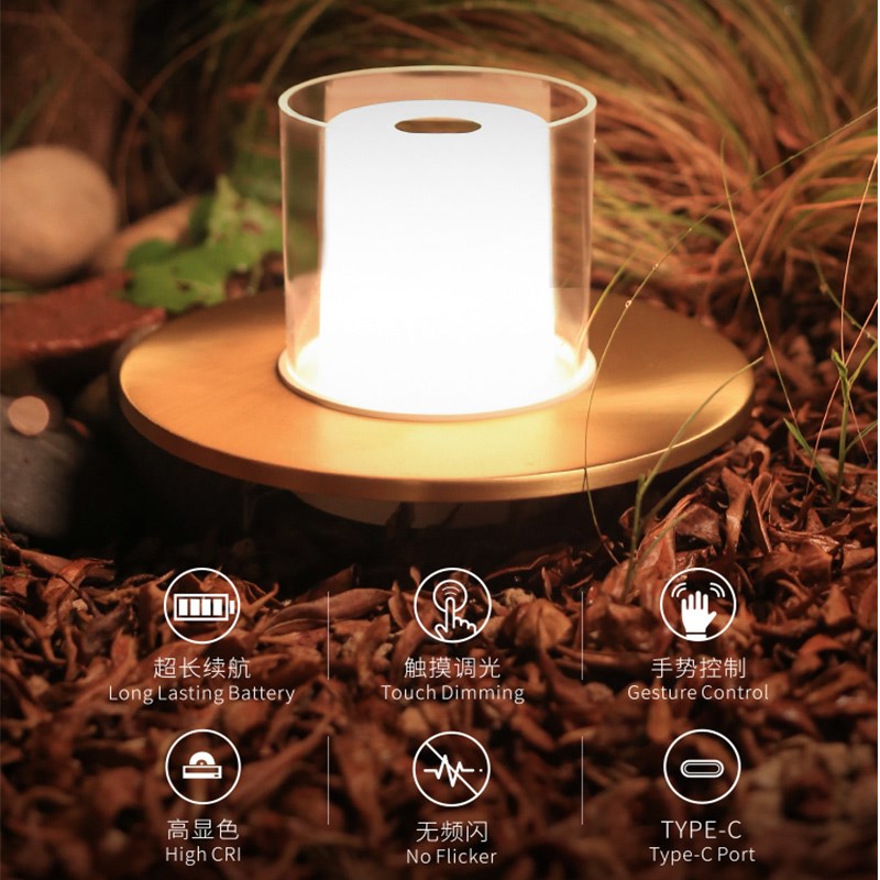 欧式餐桌台灯轻奢高级感卧室床头灯餐厅吧台桌面氛围灯露营感应灯