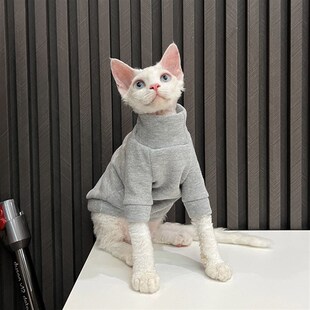 加厚绒高领毛衣无毛猫衣服德文衣服斯芬克斯猫任发财