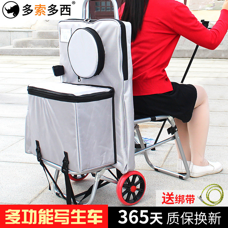 多索多西 写生车多功能拉杆画车美术生艺考户外小写生可折叠爬楼