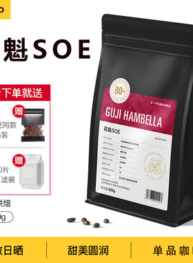 BUZO花魁SOE咖啡豆 埃塞俄比亚日晒单品意式手冲冷萃咖啡中烘200g