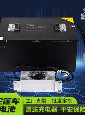 蓄能锂电池组48V三轮四轮车代步车电动车大Z容量长续航