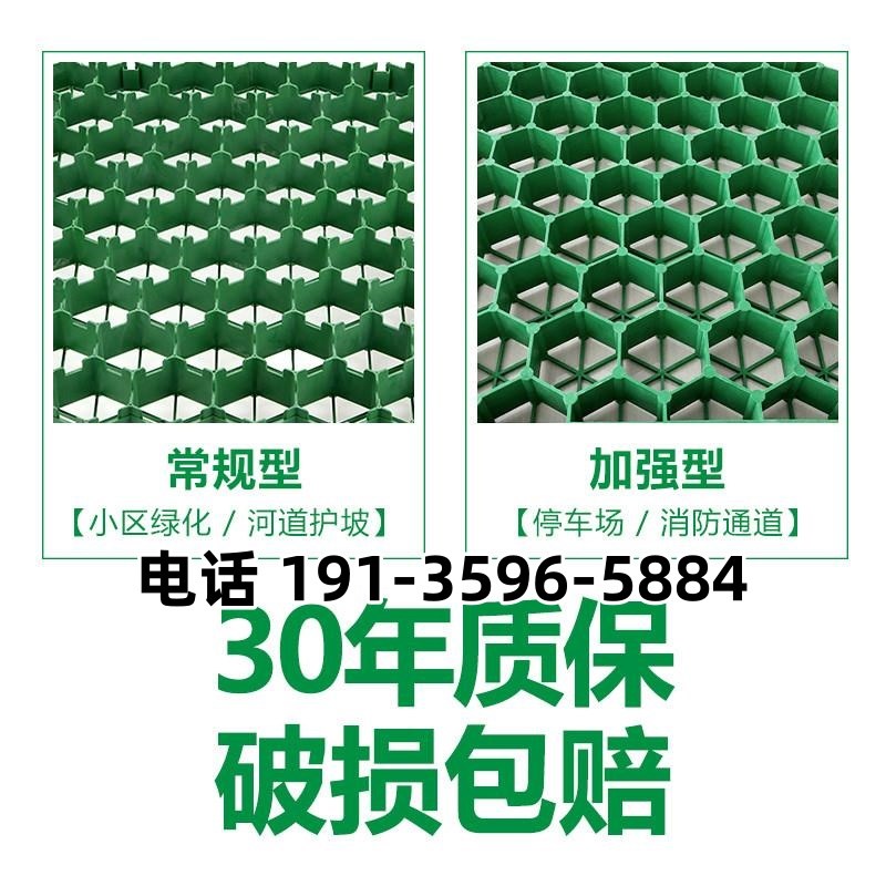 4/5/7cmi植草格 平口花口停车绿化护坡塑料植草格 现货供应及时