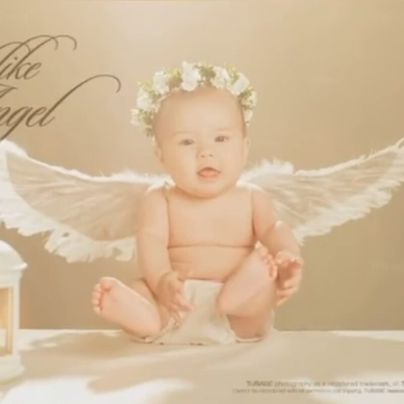 新生儿艺术照道具宝宝满月照服装影楼婴儿百天照拍照儿童摄影翅膀