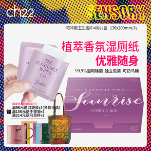 ch22湿厕纸便携独立小包装私处女士男士孕妇专用可冲散卫生湿巾