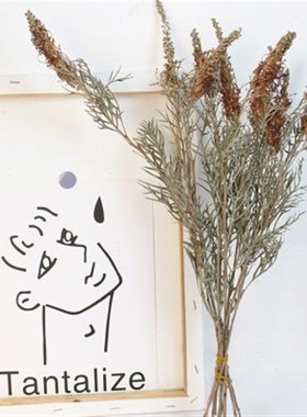 银花干花 枯枝枯叶干树枝复古插花摆件软装装饰花材