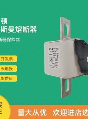 全新快速熔断器保险170M6799 170M6800 170M6P801 170M6802