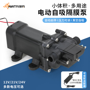 电动自吸水泵家用房车增压泵12V2E4V隔膜泵农用打药泵化工耐腐蚀