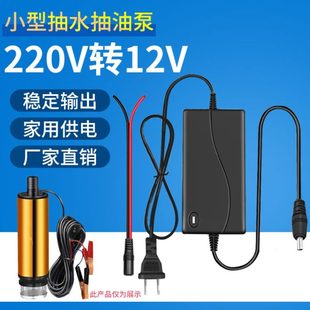电动抽水泵家用电源适配器220V转12V小型潜水泵抽油泵转换器直流A