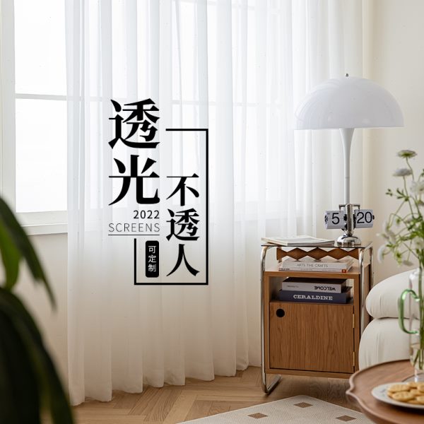 窗帘纱帘透光不透人纱飘窗白纱阳台纱客厅卧室半遮光窗纱白色新款