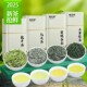 福茗源 四大绿茶叶 2025新茶碧螺春龙井毛尖云雾绿茶核心产区550g