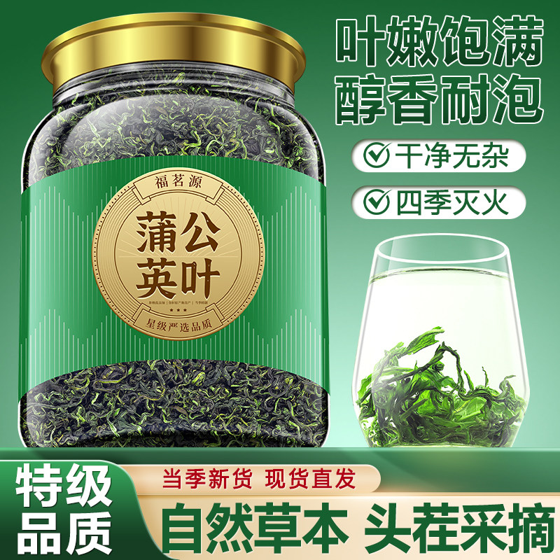 福茗源蒲公英叶茶 特级品质炒制长白山蒲公英叶婆婆丁泡水喝罐装