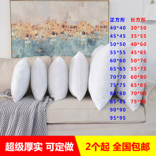 长方形不塌陷抱枕芯定制定做45 50 60 65 70超大抱枕.沙发靠垫芯