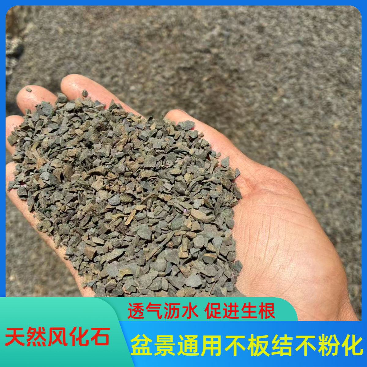 天然风化石颗粒生桩多肉兰花盆景通用风化土花土营养植料透气生根