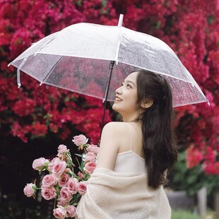 加大纯透明雨伞小清p新自动长柄双人用大伞抗风挡雨拍照道具