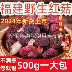 新货野生开伞红菇500g现货正宗福建特产红椎菌干货莆田红蘑菇开伞