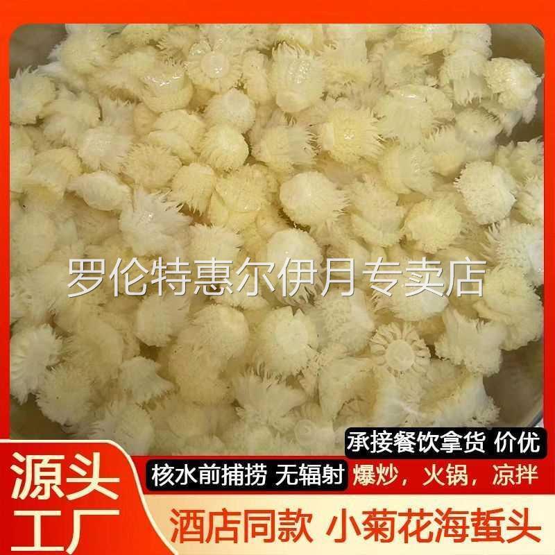 正宗小菊花海蜇头高端酒店会所非即食海蜇花凉拌食用水母400g商用