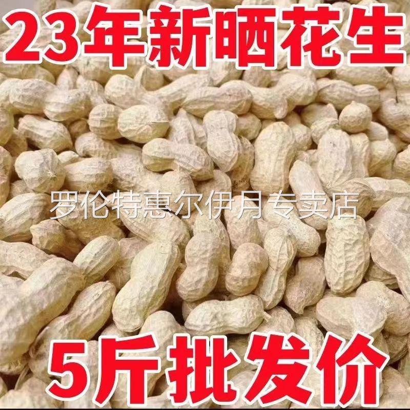 2024年生花生带壳晒干农家自产新货壳薄精选种子高产粉皮生花生
