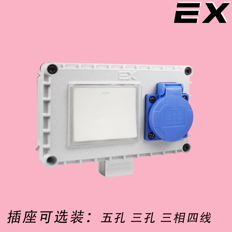 EX防爆开关插座一体防水明装墙壁五孔十孔户外照明工业开关220v