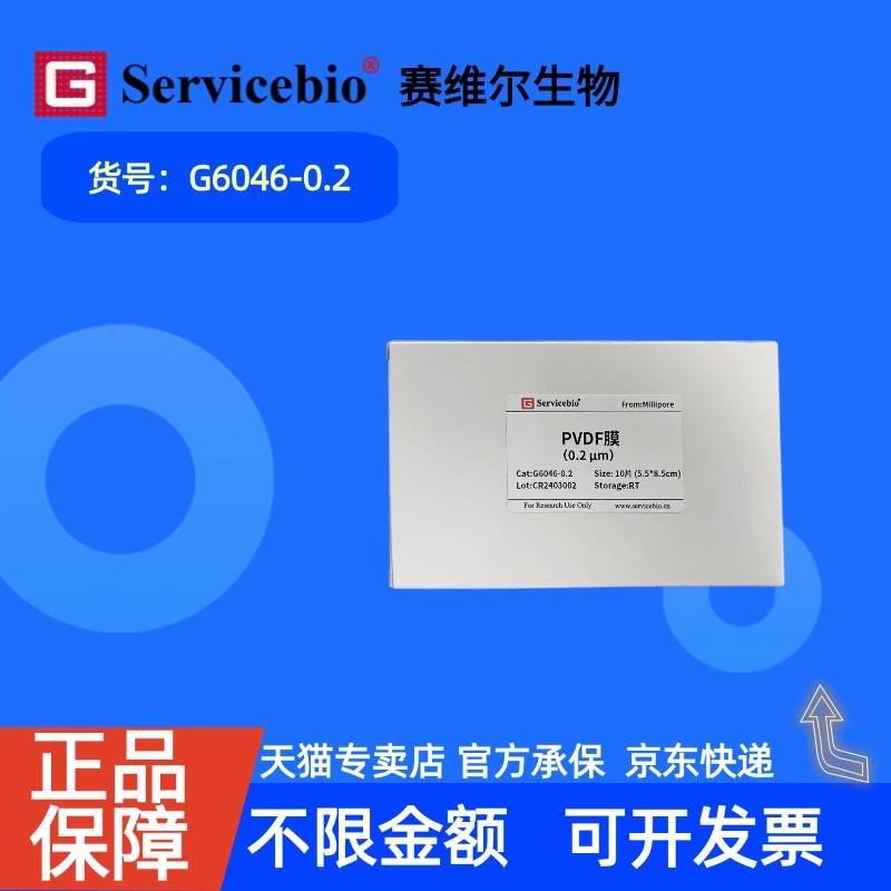 现货 赛维尔生物Servicebio PVDF膜（0.2μm） G6046-0.2 0.2μm 5.5*8.5cm 10张/包 科研实验