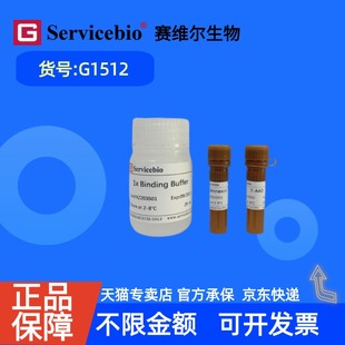 现货 赛维尔生物Servicebio Annexin V-PE/7-AAD细胞凋亡检测试剂盒(橙红光PE+粉红光) G1512 50T 100T