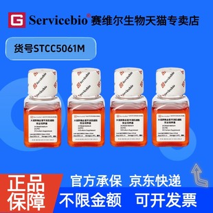 现货 大鼠肺微血管平滑肌细胞完全培养基 125mL×4 STCC5061M 赛维尔生物Servicebio 科研实验 细胞生物学